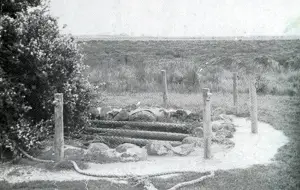 Bream Creek, Buckley's Well, Torquay history, Connewaree, Breamlea