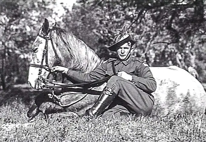 Light-horse-training