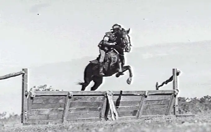 Light-horse-training